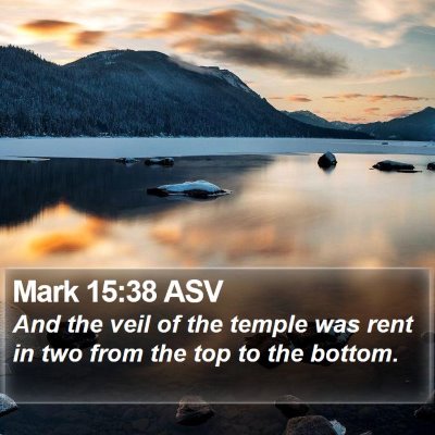 Mark 15:38 ASV Bible Verse Image