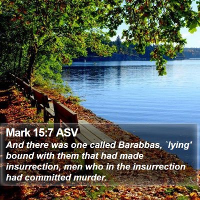 Mark 15:7 ASV Bible Verse Image