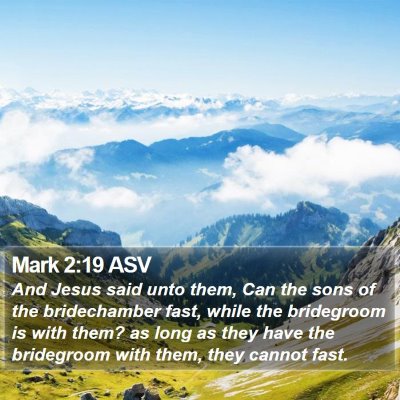 Mark 2:19 ASV Bible Verse Image