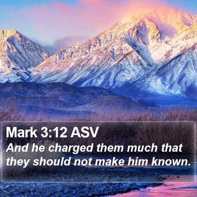 Mark 3:12 ASV Bible Verse Image