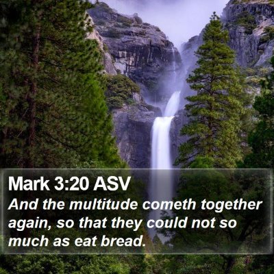Mark 3:20 ASV Bible Verse Image