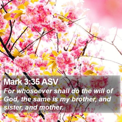 Mark 3:35 ASV Bible Verse Image