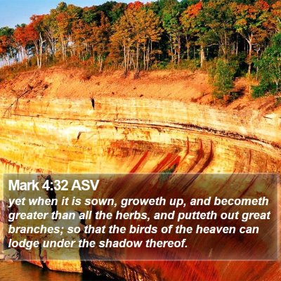 Mark 4:32 ASV Bible Verse Image