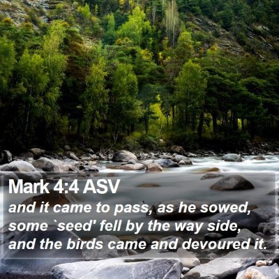 Mark 4:4 ASV Bible Verse Image