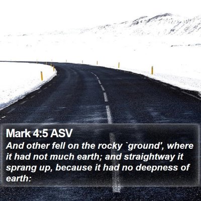 Mark 4:5 ASV Bible Verse Image
