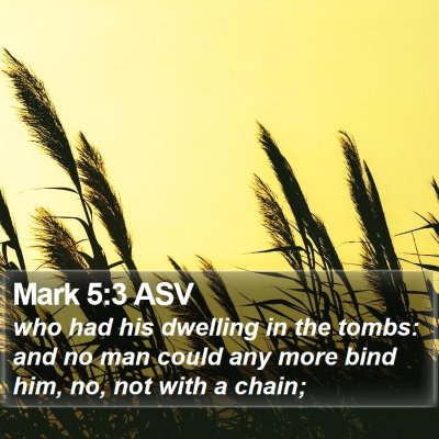 Mark 5:3 ASV Bible Verse Image