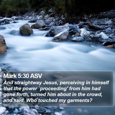 Mark 5:30 ASV Bible Verse Image