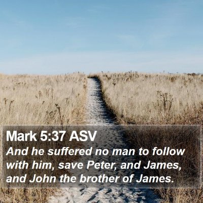 Mark 5:37 ASV Bible Verse Image