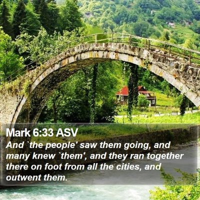 Mark 6:33 ASV Bible Verse Image