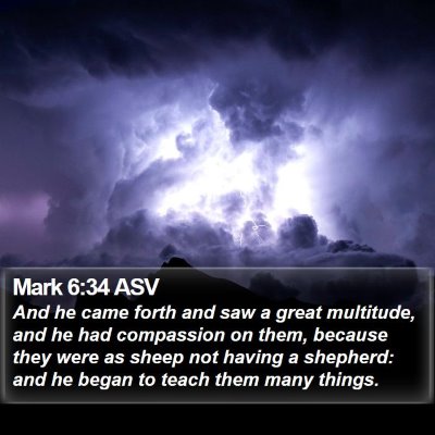 Mark 6:34 ASV Bible Verse Image