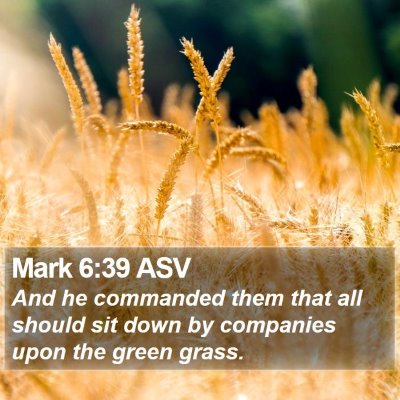 Mark 6:39 ASV Bible Verse Image