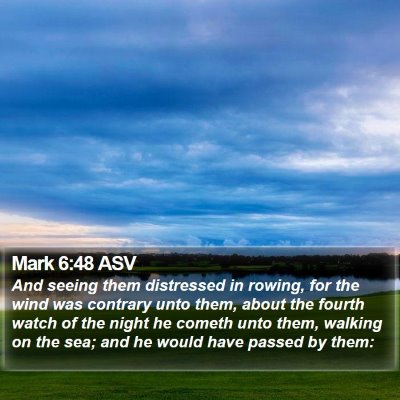 Mark 6:48 ASV Bible Verse Image