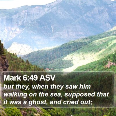 Mark 6:49 ASV Bible Verse Image