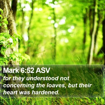 Mark 6:52 ASV Bible Verse Image