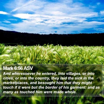 Mark 6:56 ASV Bible Verse Image