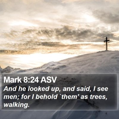 Mark 8:24 ASV Bible Verse Image
