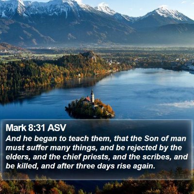 Mark 8:31 ASV Bible Verse Image