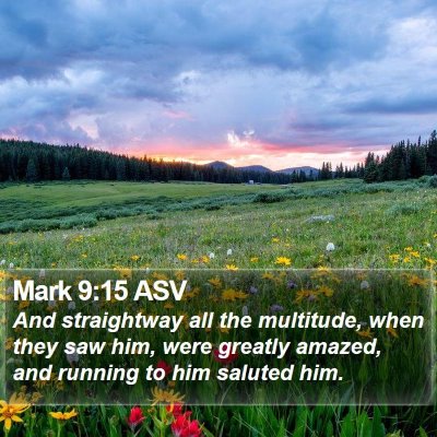 Mark 9:15 ASV Bible Verse Image