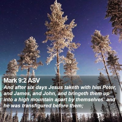 Mark 9:2 ASV Bible Verse Image
