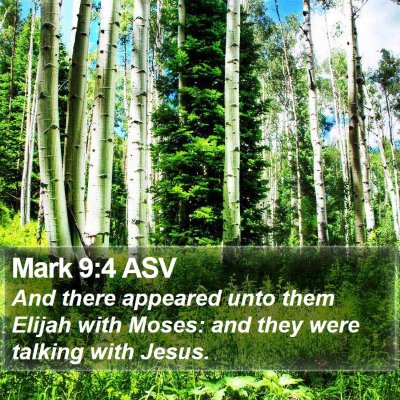 Mark 9:4 ASV Bible Verse Image
