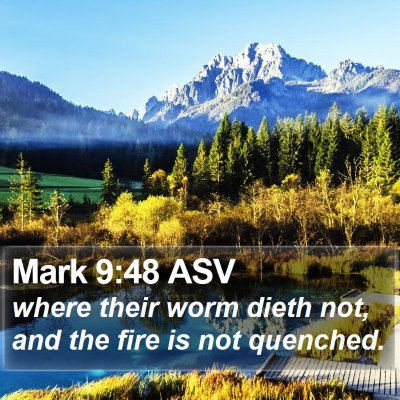 Mark 9:48 ASV Bible Verse Image