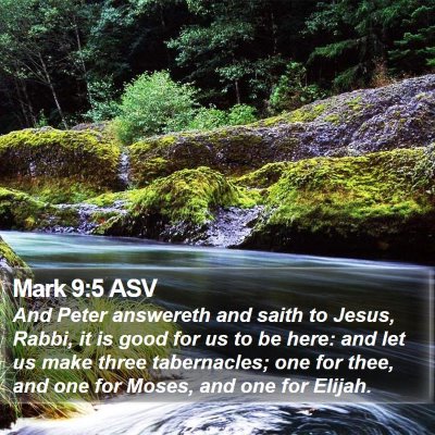 Mark 9:5 ASV Bible Verse Image