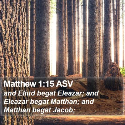 Matthew 1:15 ASV Bible Verse Image