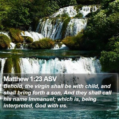 Matthew 1:23 ASV Bible Verse Image