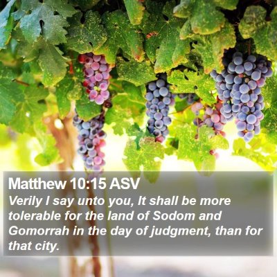 Matthew 10:15 ASV Bible Verse Image