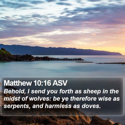 Matthew 10:16 ASV Bible Verse Image