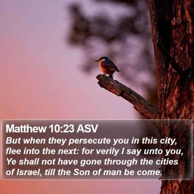 Matthew 10:23 ASV Bible Verse Image