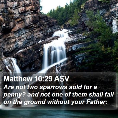 Matthew 10:29 ASV Bible Verse Image