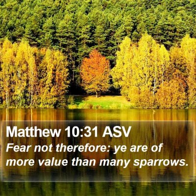 Matthew 10:31 ASV Bible Verse Image