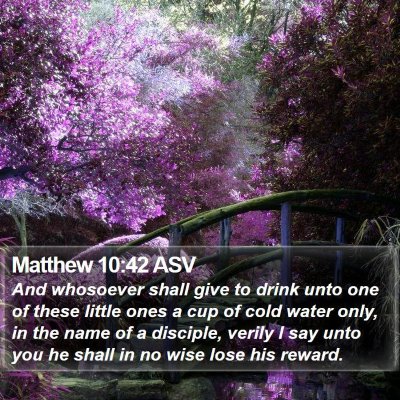 Matthew 10:42 ASV Bible Verse Image