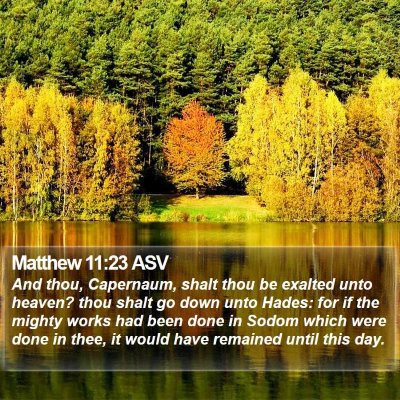 Matthew 11:23 ASV Bible Verse Image