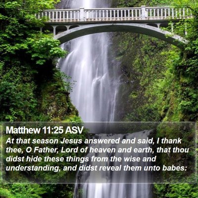 Matthew 11:25 ASV Bible Verse Image