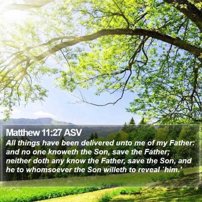 Matthew 11:27 ASV Bible Verse Image