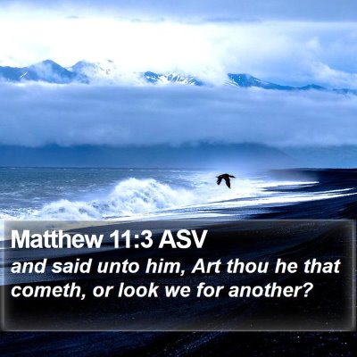 Matthew 11:3 ASV Bible Verse Image