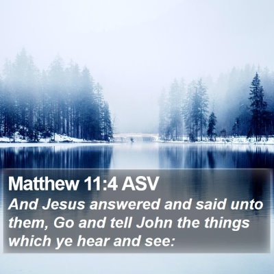 Matthew 11:4 ASV Bible Verse Image
