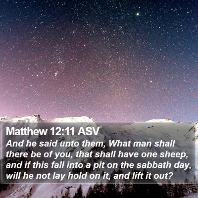 Matthew 12:11 ASV Bible Verse Image