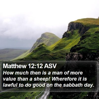 Matthew 12:12 ASV Bible Verse Image