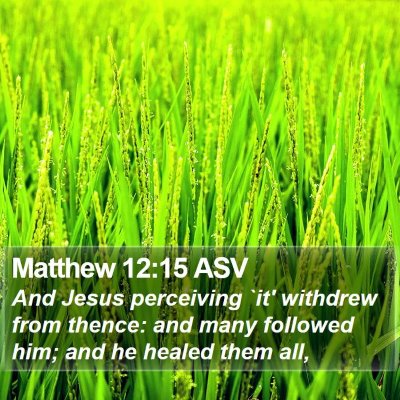 Matthew 12:15 ASV Bible Verse Image