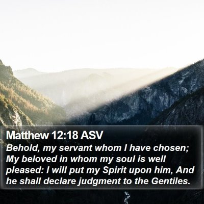 Matthew 12:18 ASV Bible Verse Image