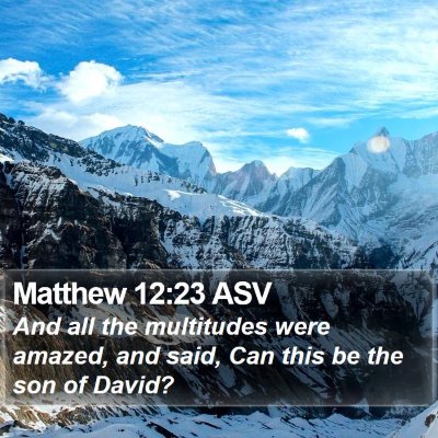 Matthew 12:23 ASV Bible Verse Image