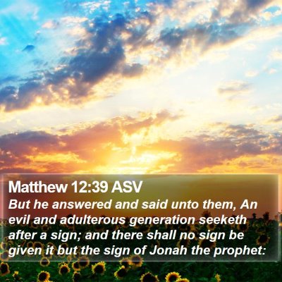 Matthew 12:39 ASV Bible Verse Image