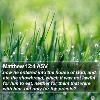 Matthew 12:4 ASV Bible Verse Image