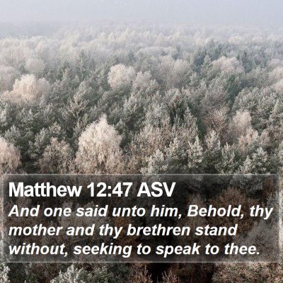 Matthew 12:47 ASV Bible Verse Image