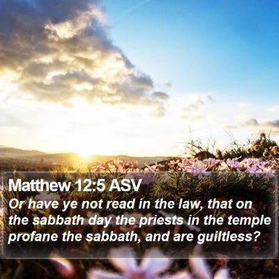 Matthew 12:5 ASV Bible Verse Image
