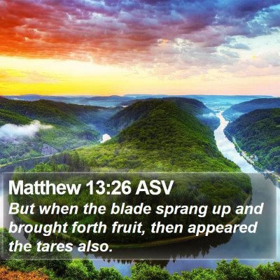 Matthew 13:26 ASV Bible Verse Image