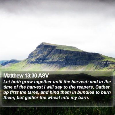 Matthew 13:30 ASV Bible Verse Image